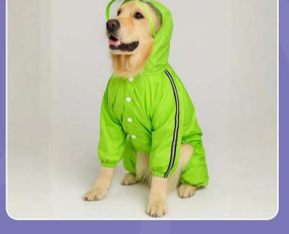 Furryfits Neon Raincoat - Splash in Style, Stay Dry & Visible