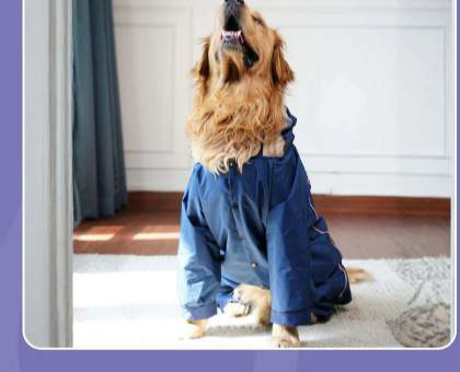 Waterproof Dog Raincoat with Transparent Hood - Lightweight Protective Rain Jacket