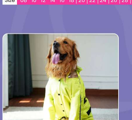 Waterproof Dog Raincoat - Neon Green Lightweight Hooded Rain Jacket