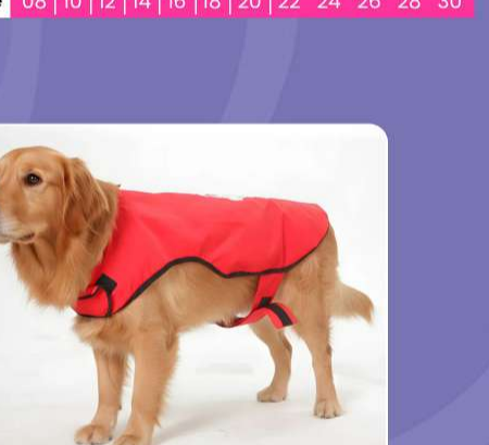 Happy Paws Printed Waterproof Dog Raincoat - Cheerful Monsoon Protection