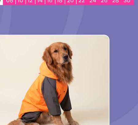 Storm Flex Sport Waterproof Dog Raincoat with Hood - High Visibility Outdoor Protection