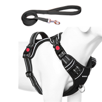 Dog Chest Belt with Leash , No Pull Adjustable Harness, Easy Control and Handle for Training