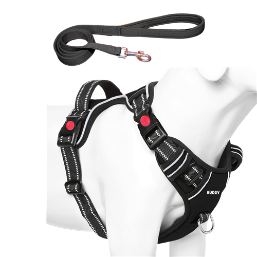 Dog Chest Belt with Leash , No Pull Adjustable Harness, Easy Control and Handle for Training