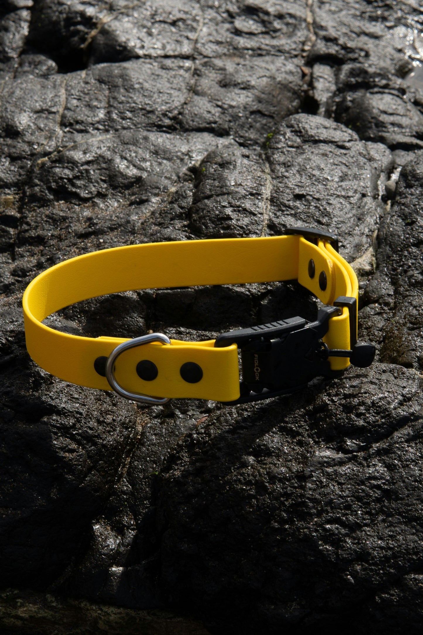 Paw Collar 15MM