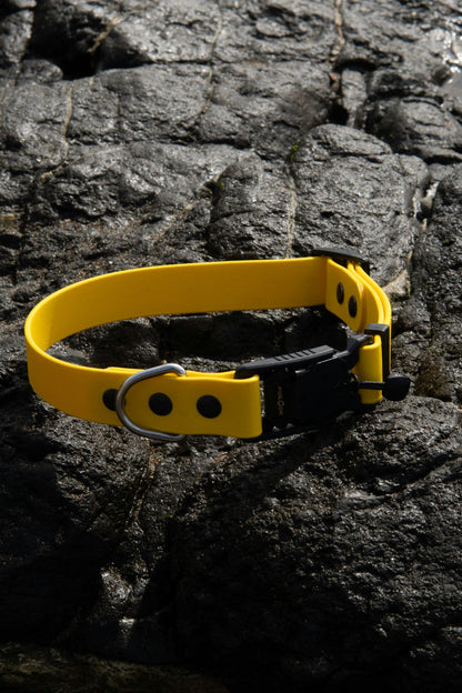 Paw Collar 15MM