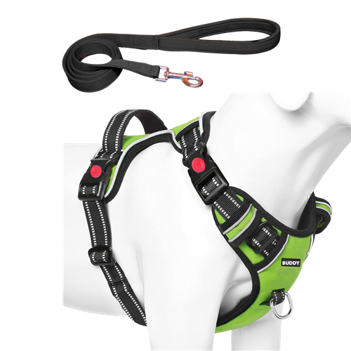 Dog Chest Belt with Leash , No Pull Adjustable Harness, Easy Control and Handle for Training
