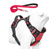Dog Chest Belt with Leash , No Pull Adjustable Harness, Easy Control and Handle for Training