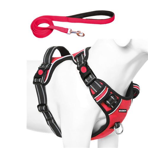 Dog Chest Belt with Leash , No Pull Adjustable Harness, Easy Control and Handle for Training