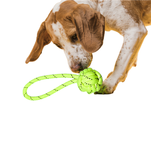 Dog Rope Toy 1knot Ball (Assort, Small)