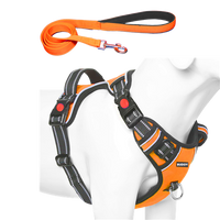 Dog Chest Belt with Leash , No Pull Adjustable Harness, Easy Control and Handle for Training