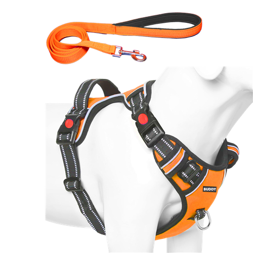 Dog Chest Belt with Leash , No Pull Adjustable Harness, Easy Control and Handle for Training