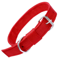 Nylon Dog Collar With Adjustable Neck