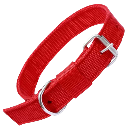 Nylon Dog Collar With Adjustable Neck