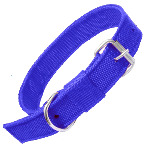 Nylon Dog Collar With Adjustable Neck