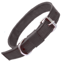 Nylon Dog Collar With Adjustable Neck