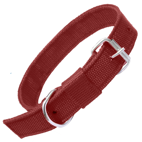 Nylon Dog Collar With Adjustable Neck