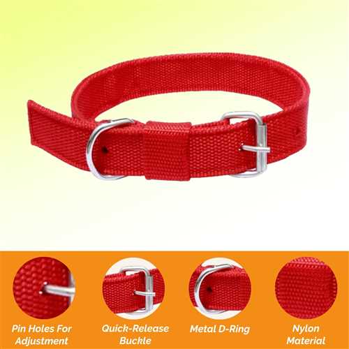 Nylon Dog Collar With Adjustable Neck